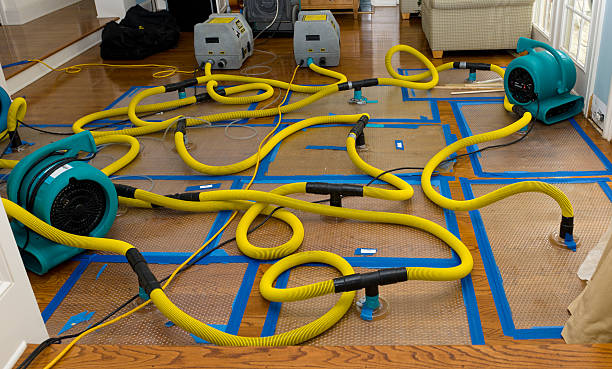 Professional Structural Drying And Dehumidification technician working in North Branch, MI